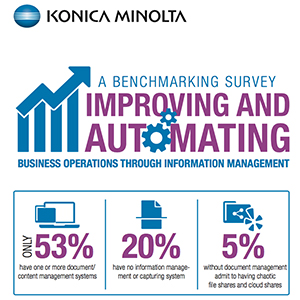 Foto Konica Minolta Information Management Survey: amplio acceso y excelente capacidad de búsqueda.